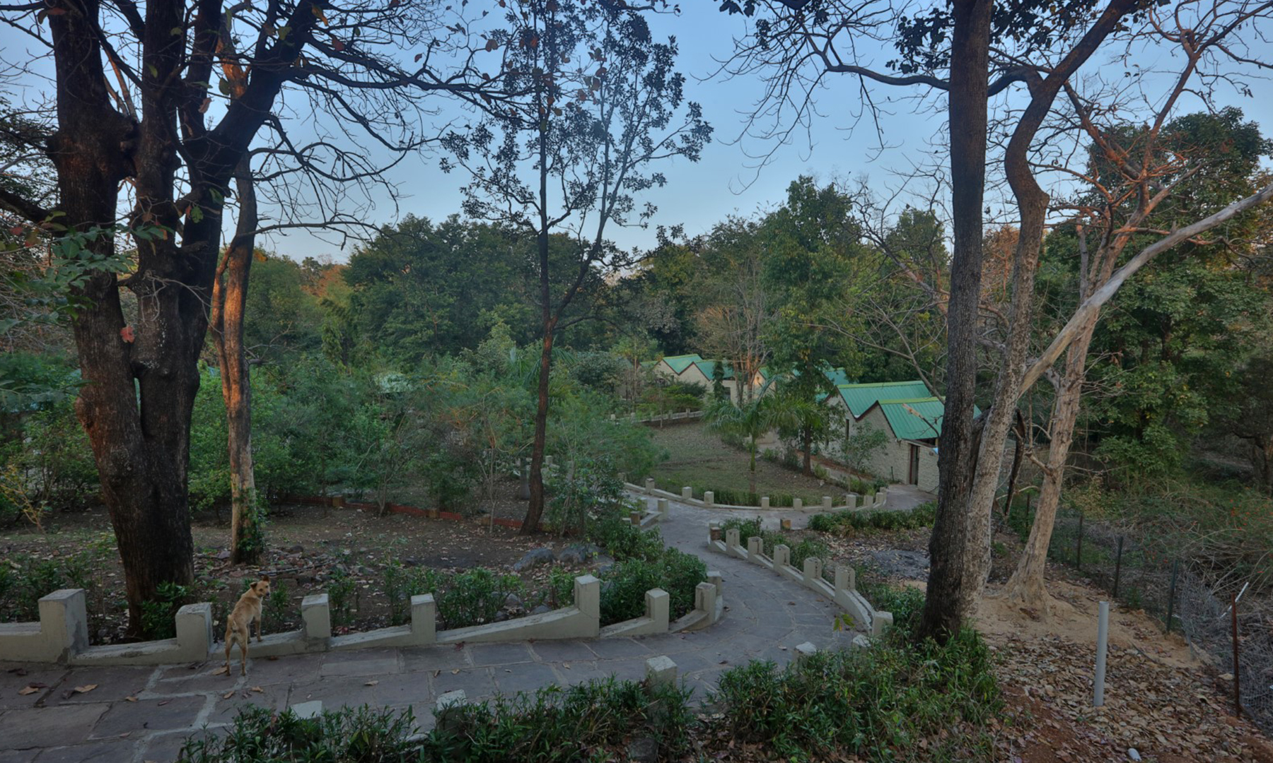 Hotels in Rukhad national park