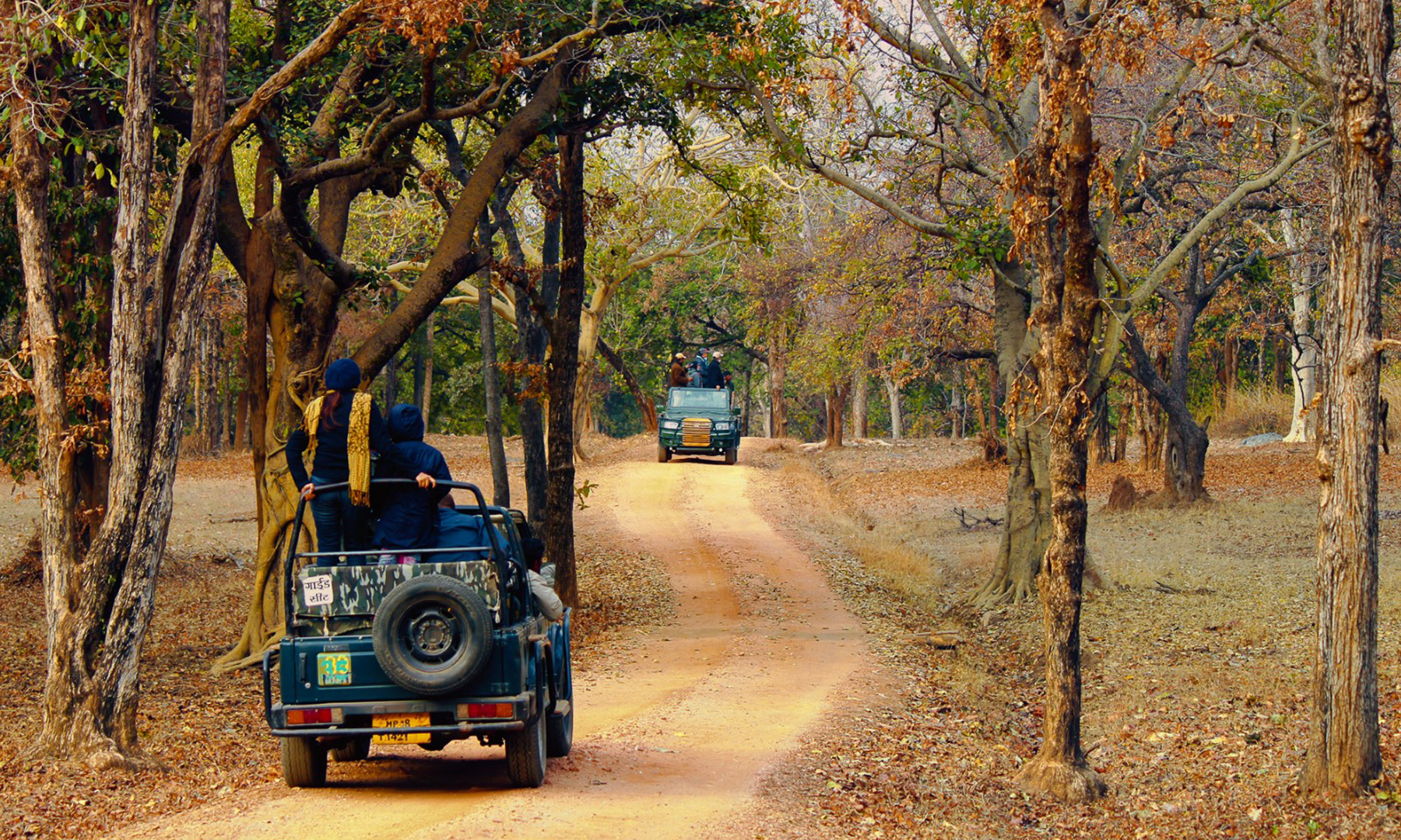 Rukhad National Park Hotel